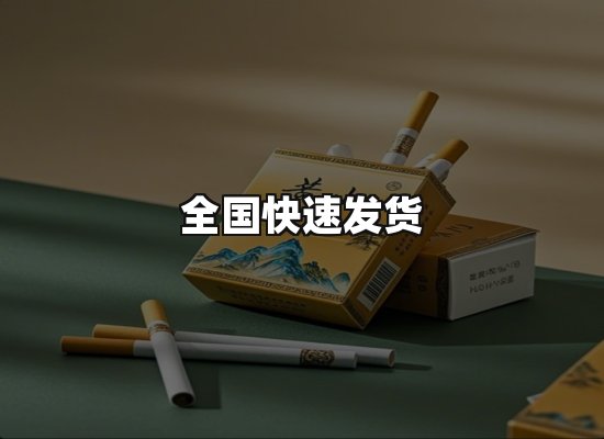 专业优势